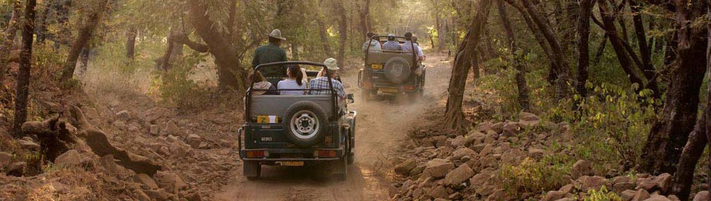 jeep safari booking in jim corbett